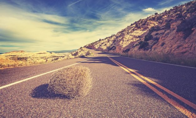 Altcoin-Marktanalyse KW19 – Verschnaufpause nach Rallye