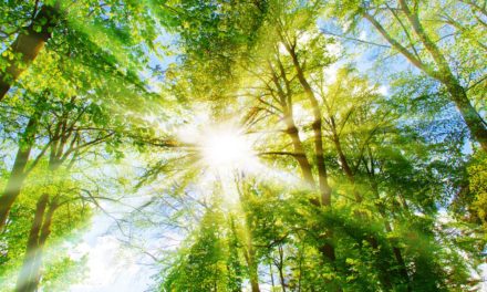 Altcoin-Marktanalyse KW23 – IOTA zieht an TRON vorbei