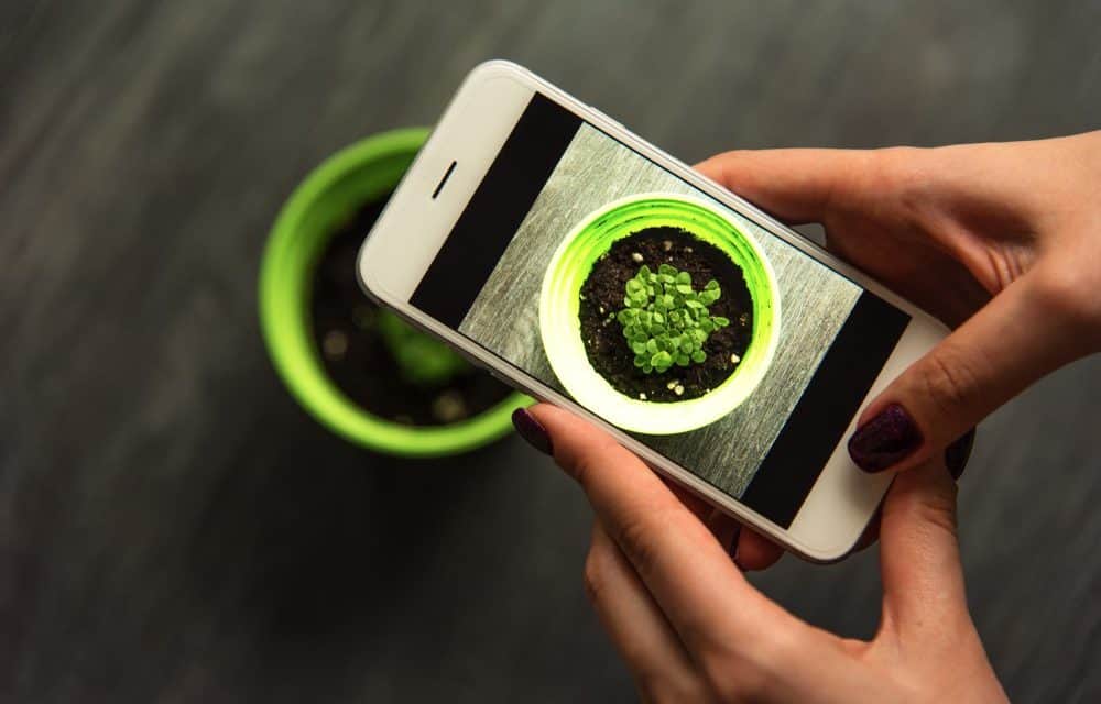 ETH-Netzwerk wächst weiter: Immer mehr Entwickler für Ethereum dApps