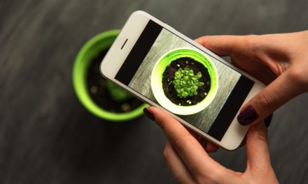 ETH-Netzwerk wächst weiter: Immer mehr Entwickler für Ethereum dApps