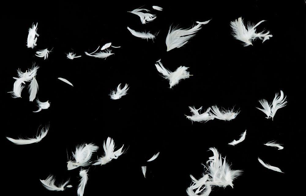 Altcoins: IOTA, Qtum, Dash und Bytecoin lassen Federn