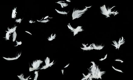 Altcoins: IOTA, Qtum, Dash und Bytecoin lassen Federn