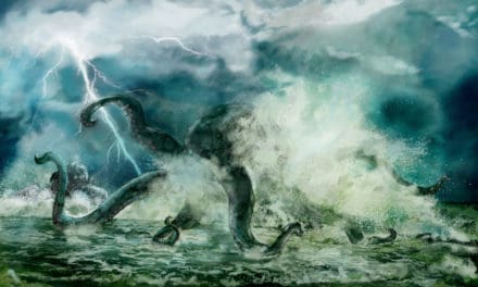 „Tether FUD“: Kraken meldet sich zu Wort