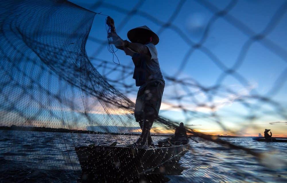 Massenhaft verschickte Phishing-Mails erleichtern japanische Anleger