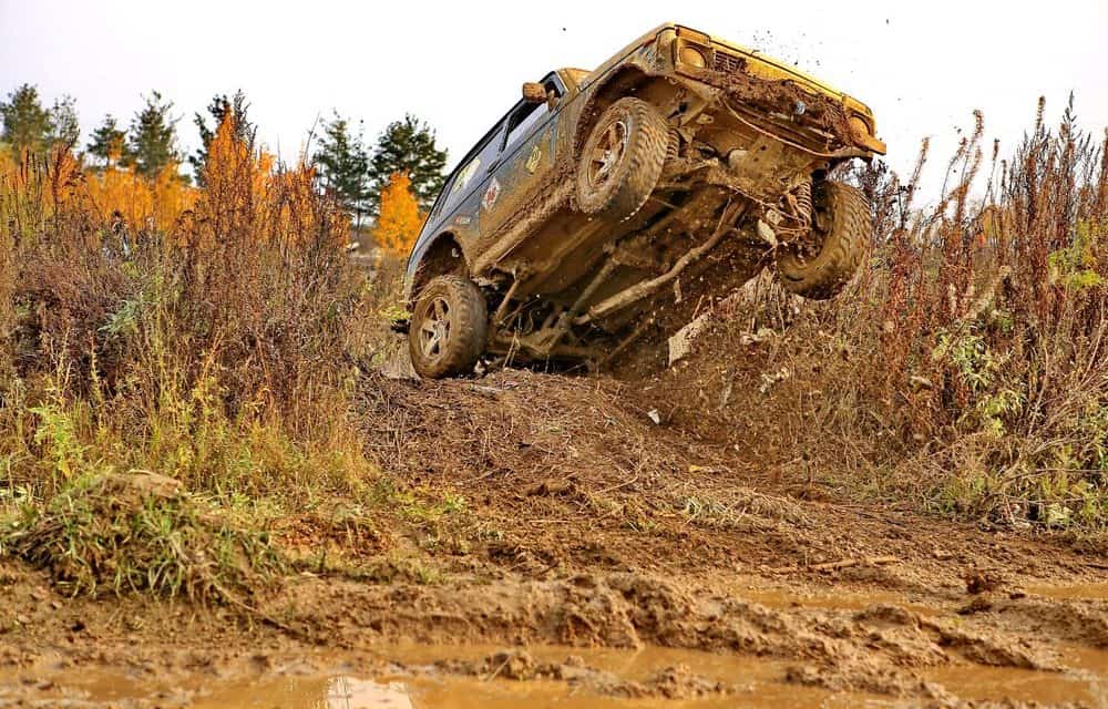 Altcoin-Rally: NEOs Dezentralisierung, IOTA, NEM und Cardano wollen hoch hinaus