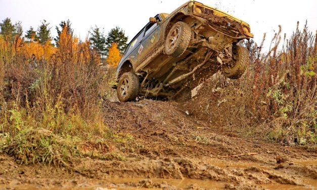 Altcoin-Rally: NEOs Dezentralisierung, IOTA, NEM und Cardano wollen hoch hinaus