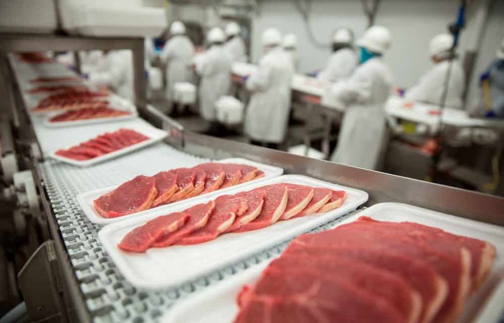 UK: FSA testet Blockchain zur Qualitätssicherung von Rindfleisch