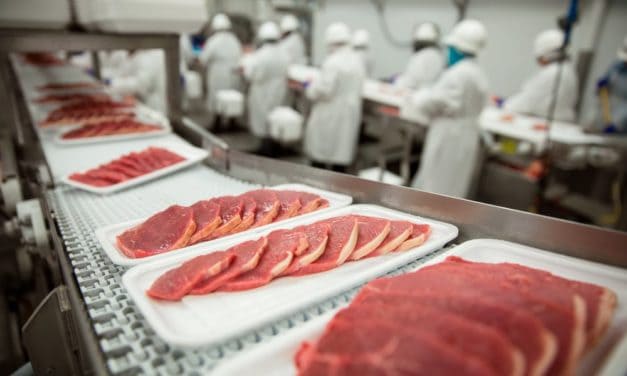 UK: FSA testet Blockchain zur Qualitätssicherung von Rindfleisch