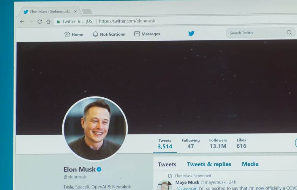 Elon Musk äußert sich erstmals zu Ethereum – wegen eines Scams