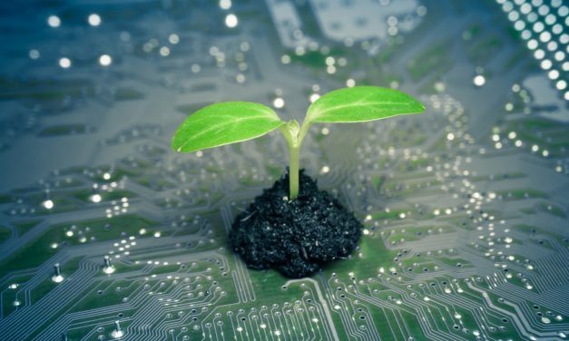 Ben and Jerry’s: CO2-neutrales Eis und die Blockchain