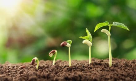 Altcoin-Echo: 70 Prozent Plus für Stellar (XLM), TenX (PAY) steigt um 90 Prozent