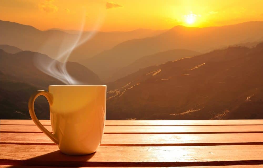 Regulierungs-ECHO KW#29 – Die Sonne geht im Osten auf (außer in Vietnam)