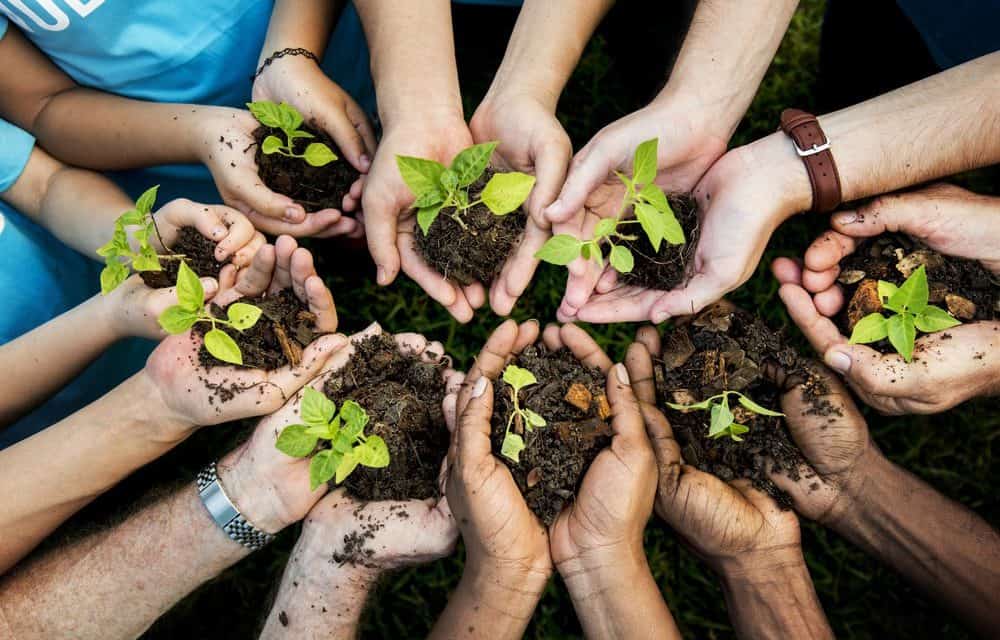 Liverpool will erste klimapositive Stadt werden – Blockchain soll helfen