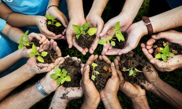 Liverpool will erste klimapositive Stadt werden – Blockchain soll helfen