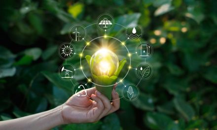 Aus der Wissenschaft: Blockchain und Energieversorung