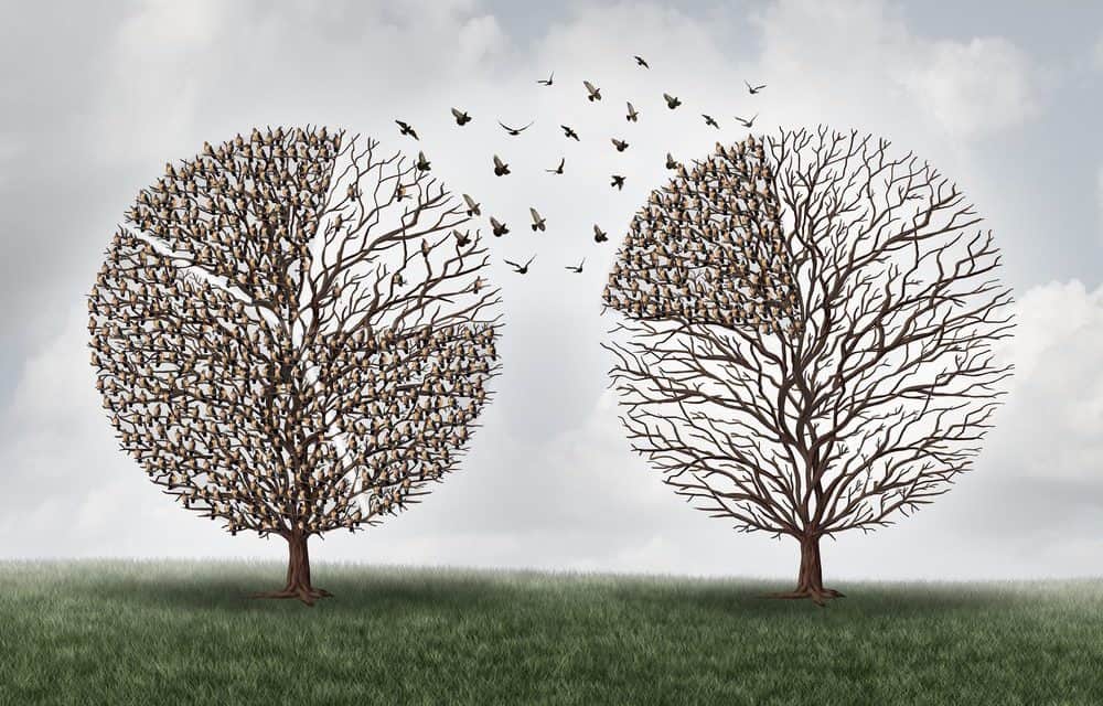 Fintechs und Blockchain-Start-ups: Konkurrenz oder Koexistenz?