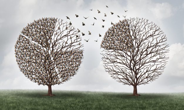 Fintechs und Blockchain-Start-ups: Konkurrenz oder Koexistenz?