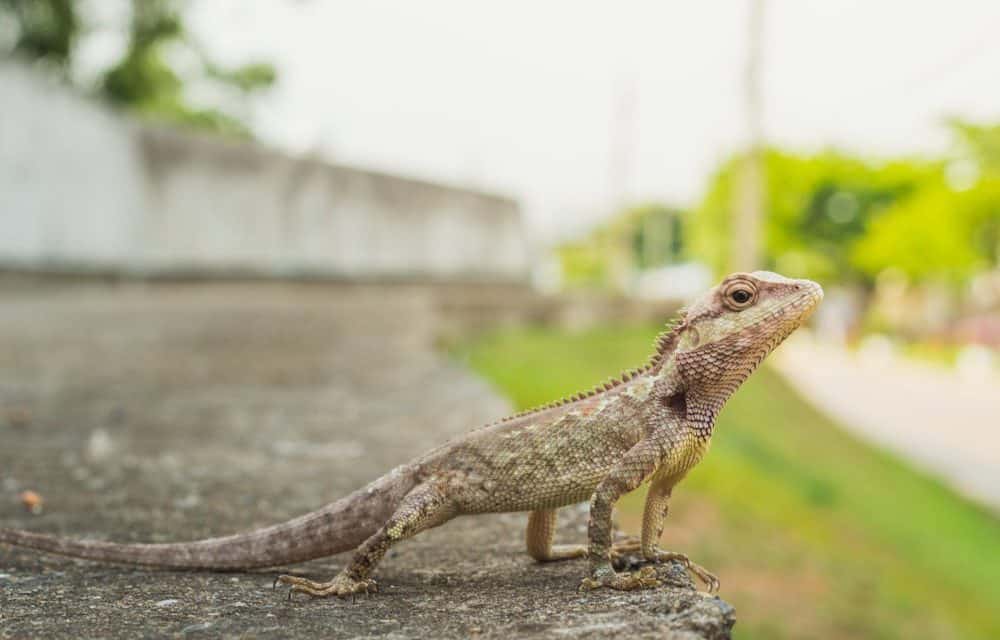 Regulierungs-ECHO KW31 – Wechselhafte Stimmung im Sommerloch