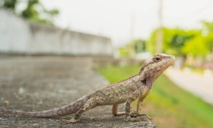Regulierungs-ECHO KW31 – Wechselhafte Stimmung im Sommerloch