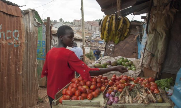 Kenia: Tomaten auf der Blockchain im Kampf gegen Armut