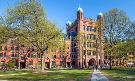 Investment-Strategien: Haben zwei Professoren aus Yale die goldene Lösung?