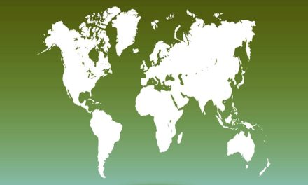 Die Vorreiter: Die zehn kryptofreundlichsten Länder der Welt