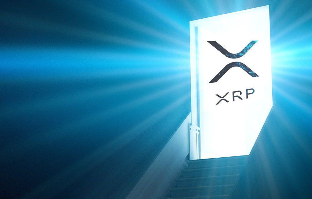 XRapid: Wie sich Ripple unabhängig von XRP weiterentwickelt