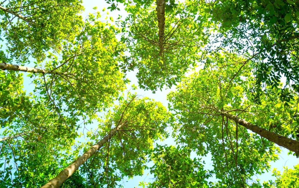 Altcoin-Marktanalyse KW35 – Doch noch eine grüne Woche