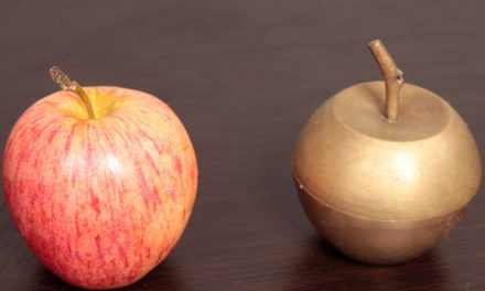 Meinungs-ECHO KW34 – „Faketoshi” forkt die Bitcoin Cash Community