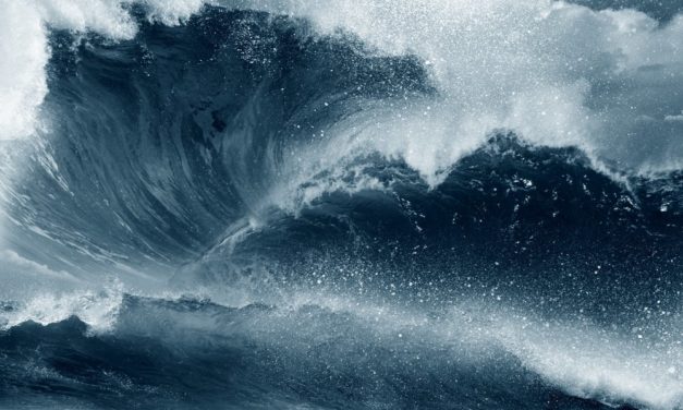 Meinungs-ECHO KW36 – Bitcoin präsentiert sich von seiner volatilsten Seite