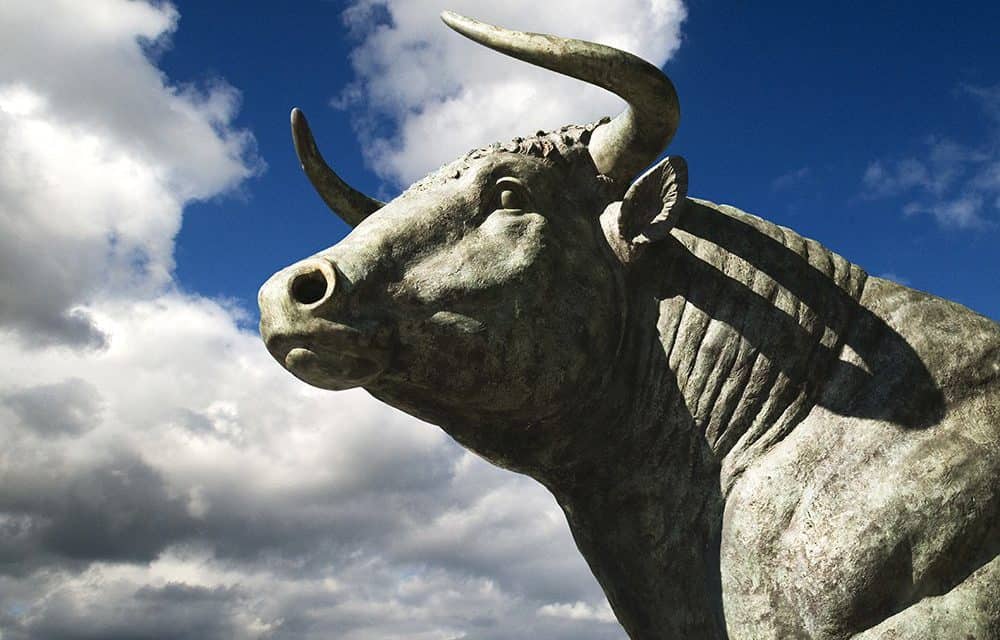 SharesPost: Investoren trotz schwachem Bitcoin-Jahr eher bullish