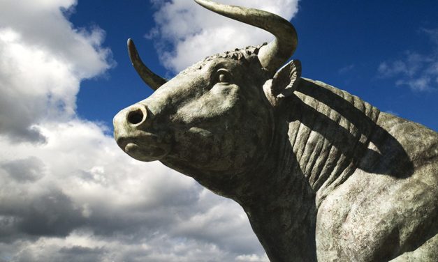 SharesPost: Investoren trotz schwachem Bitcoin-Jahr eher bullish