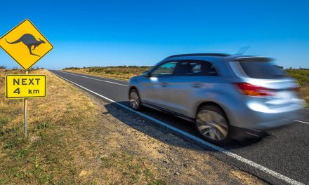 Der „Lappen“ auf der Blockchain: (Auto-)Pilotprojekt in Australien