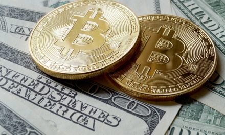 Volatilität: Krypto und Fiat im Vergleich