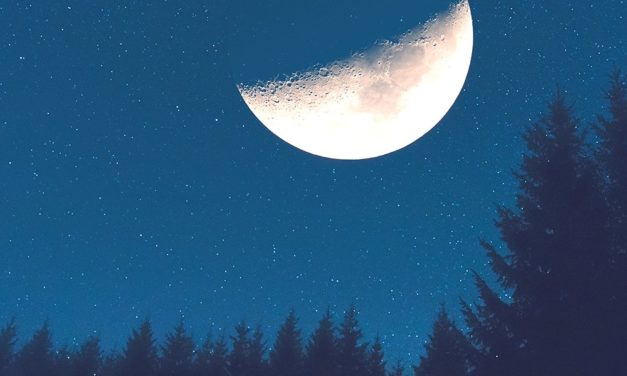 Fiat ist tot, es lebe der Bitcoin! Meinungs-ECHO KW#37