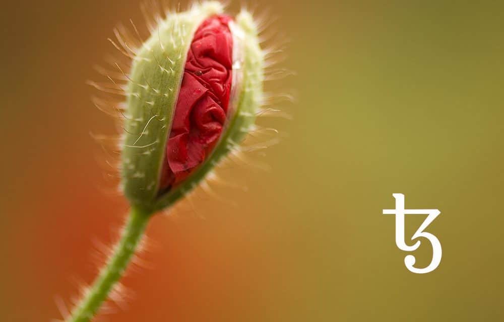 Tezos: XTZ-Kurs steigt seit Mainnet-Ankündigung