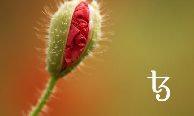 Tezos: XTZ-Kurs steigt seit Mainnet-Ankündigung