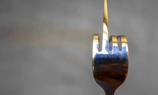 Wie schädlich sind Hard Forks für das Bitcoin-Ökosystem?