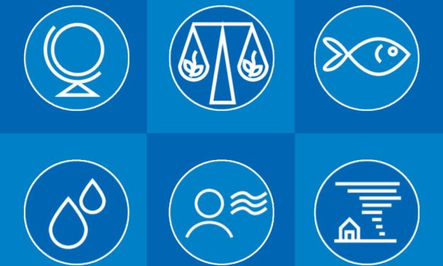 „Game-Changer“ im Umweltschutz – Weltwirtschaftsforum wirbt für Einsatz von DLT