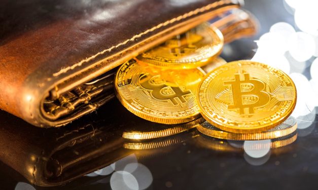 Bitcoin: BTC-Hodler trotzen der Bärenstimmung