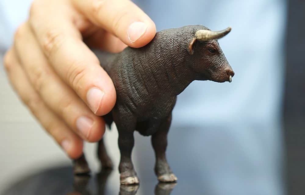 Steigt der Bitcoin-Kurs jetzt aus dem Bärenmarkt? Die NVT-Ratio rät zum Abwarten