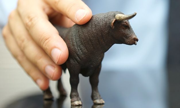 Steigt der Bitcoin-Kurs jetzt aus dem Bärenmarkt? Die NVT-Ratio rät zum Abwarten