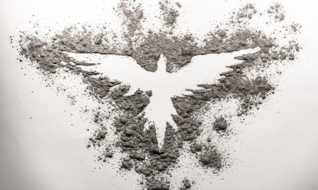 Bitcoin Ade, hallo Ripple? Das Meinungs-ECHO KW38