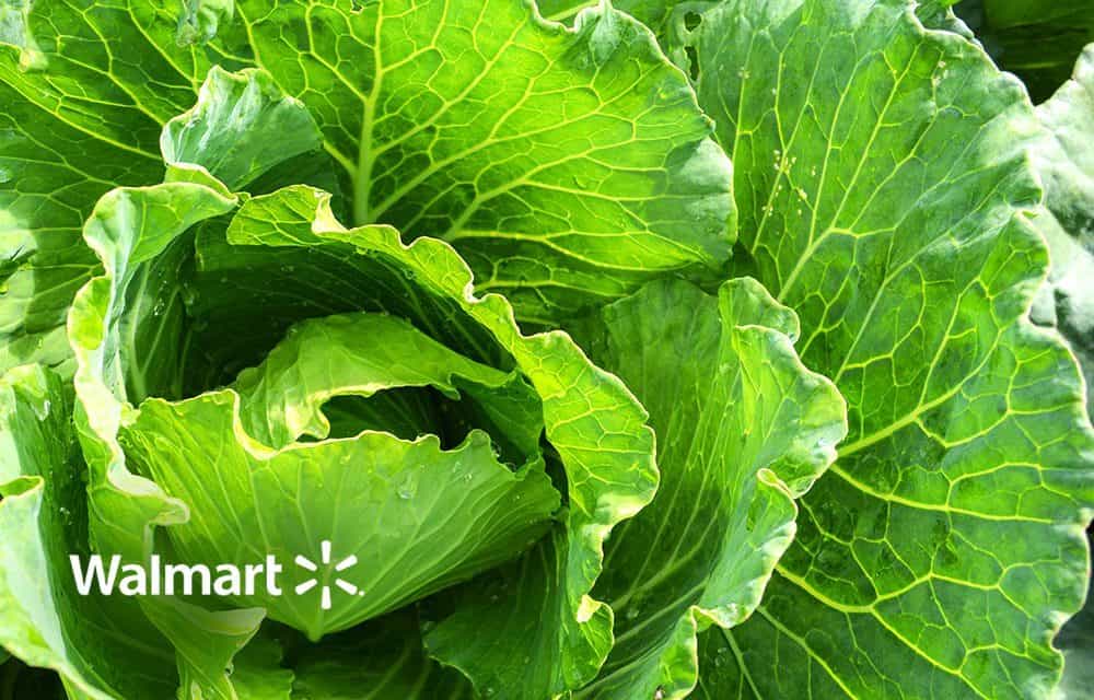 Lebensmittelskandale schneller aufklären: Walmart setzt auf Blockchain