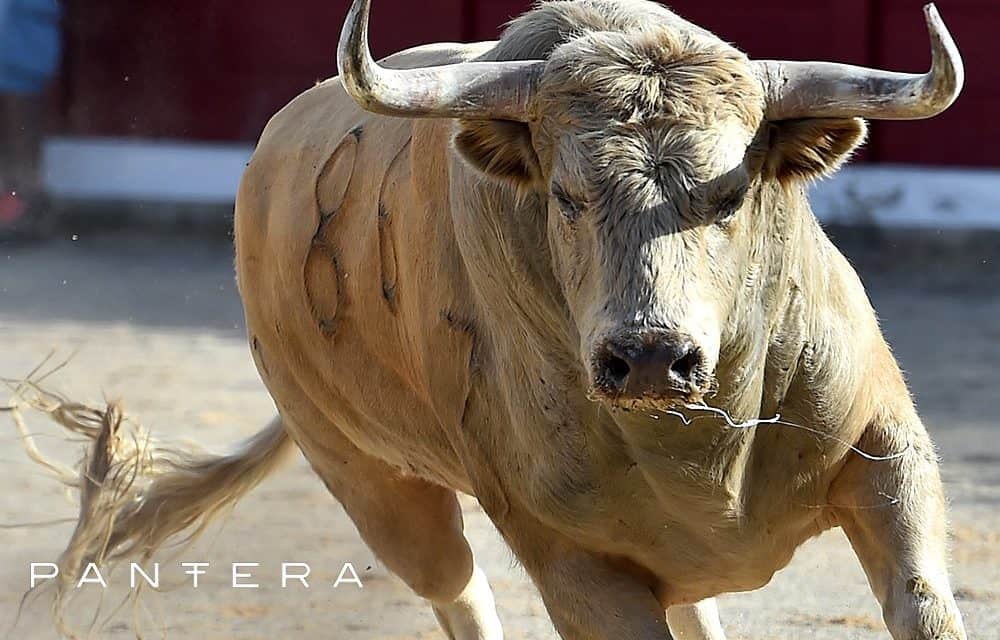 Panteras Joey Krug: Bitcoin-Boden ist erreicht