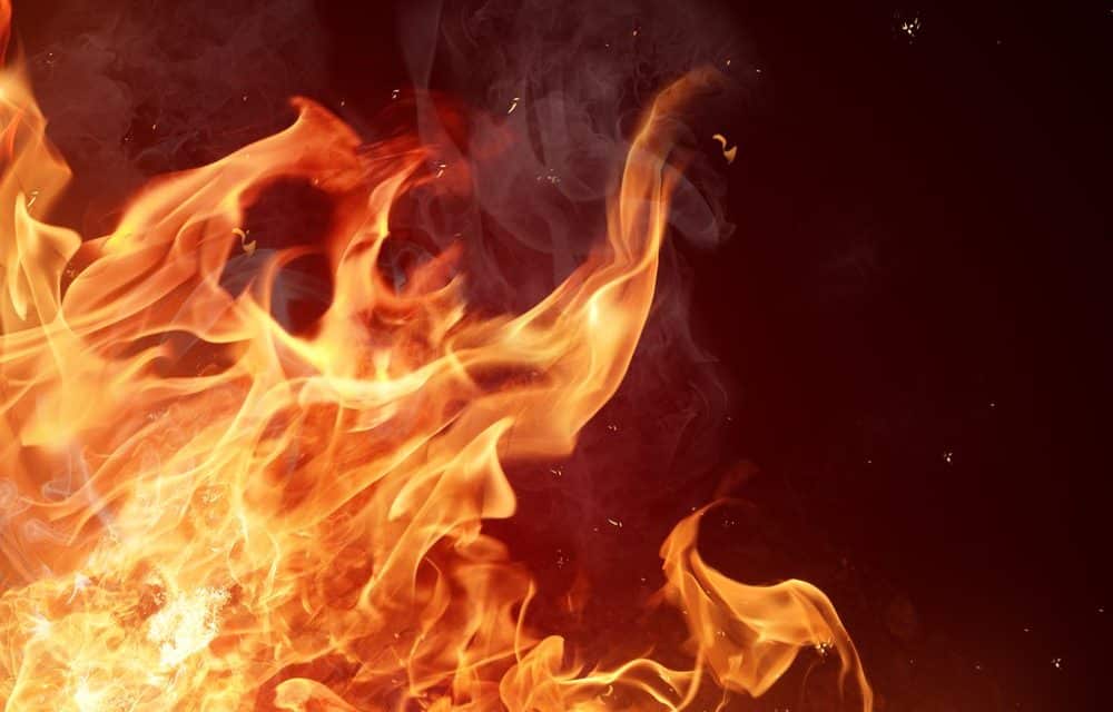 Tether: 500 Millionen Stable Coins verbrannt