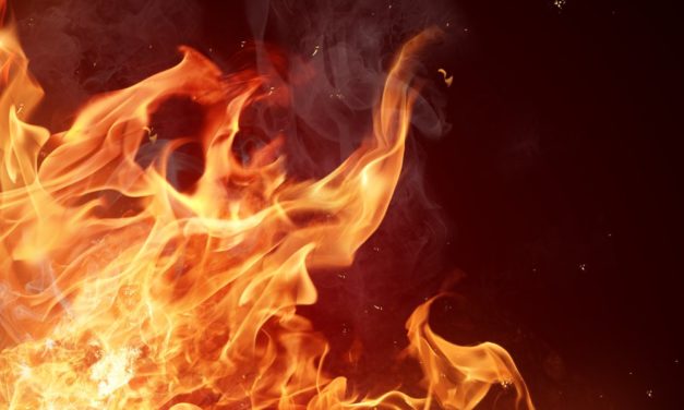 Tether: 500 Millionen Stable Coins verbrannt