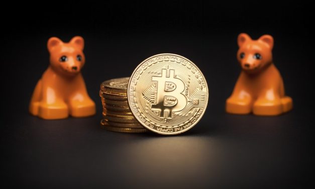 Bitcoin: Bärenstark trotz Bärenmarkt – Das Meinungs-ECHO KW43