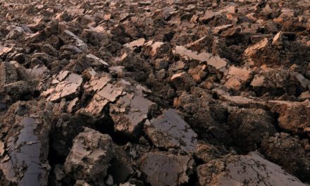 Die Lage am Mittwoch: Bitcoin braucht fruchtbaren Boden