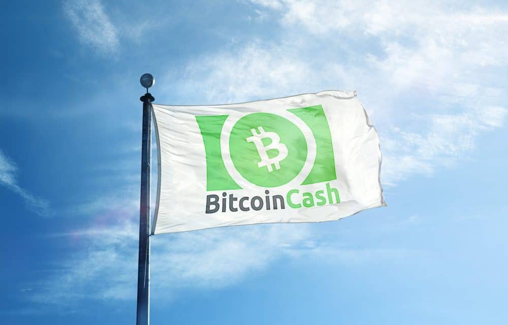 Bitcoin Cash: Kursrallye vor Hard Fork